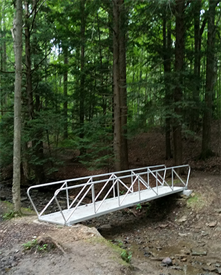 Aluminum gangway from shore to dolphin.